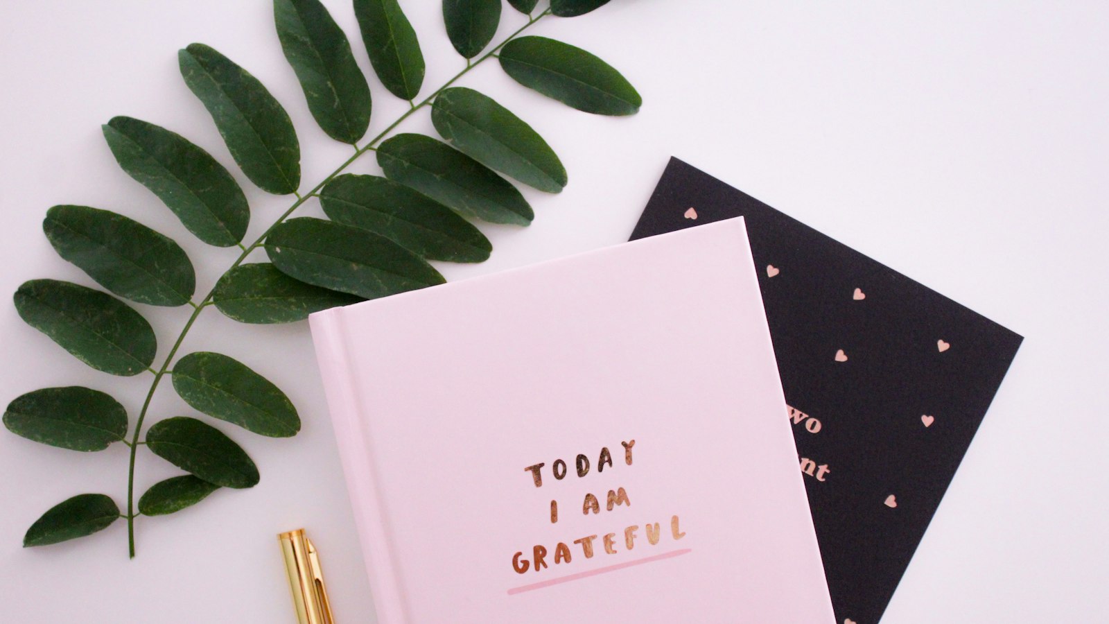 Today I am Grateful book