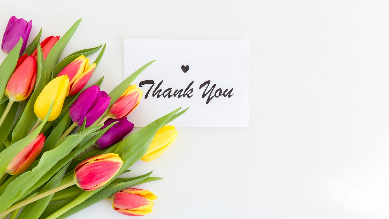 pink tulips with happy birthday greeting card