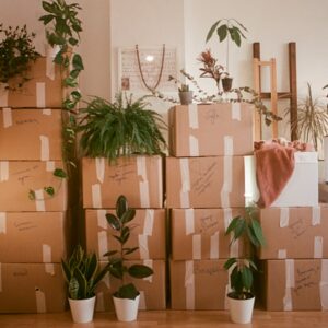 A room filled with lots of boxes and plants