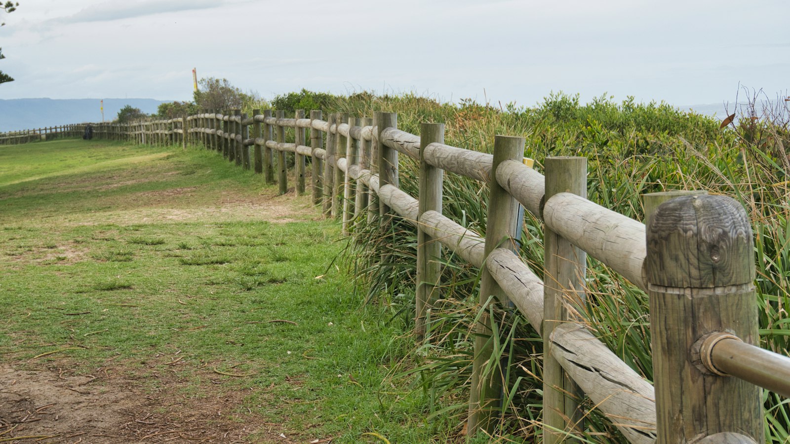 Wooden fence along a grassy path by the ocean