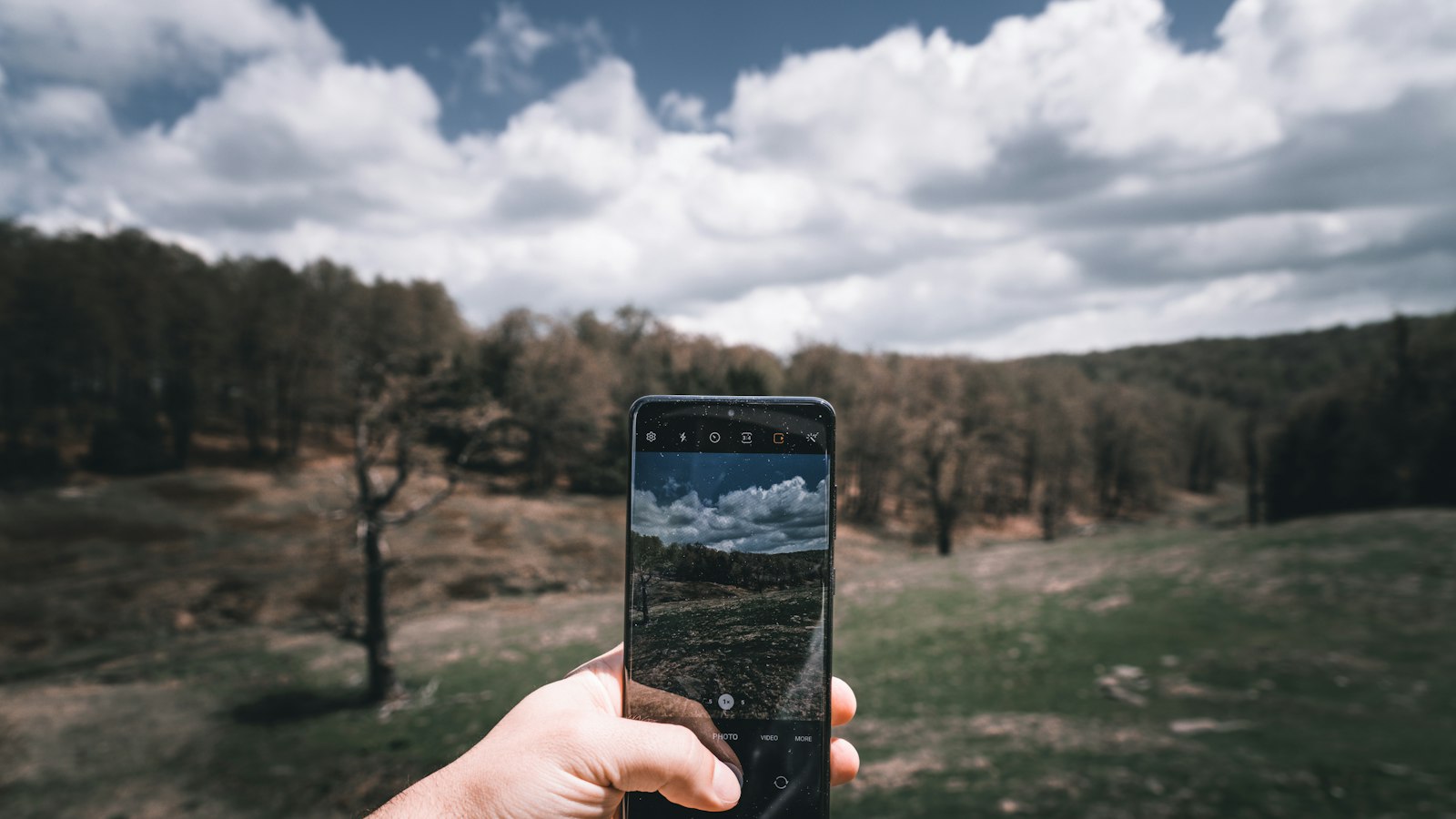 a person taking a picture of a field with a cell phone