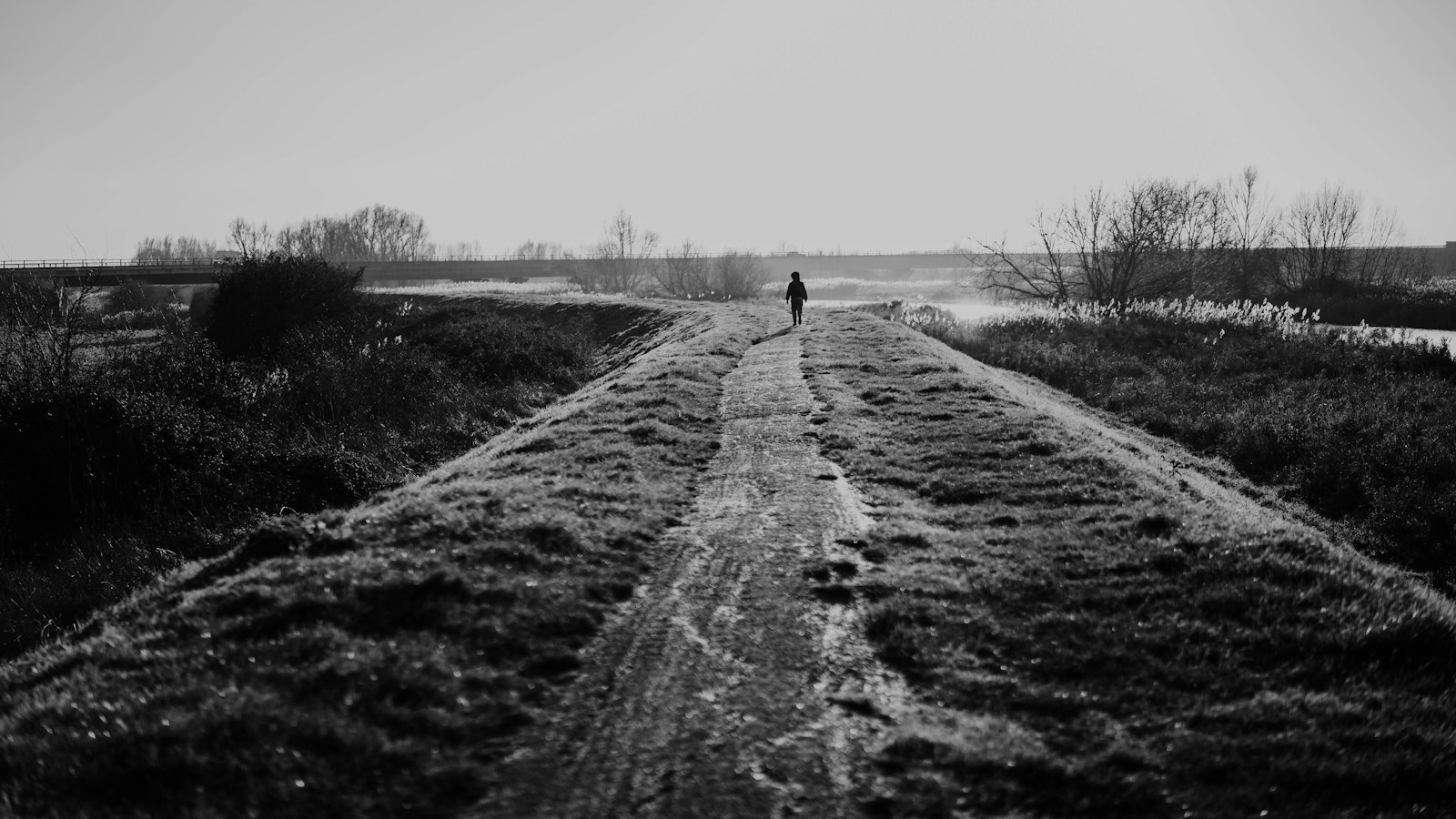 A lone figure walks down a path towards the horizon