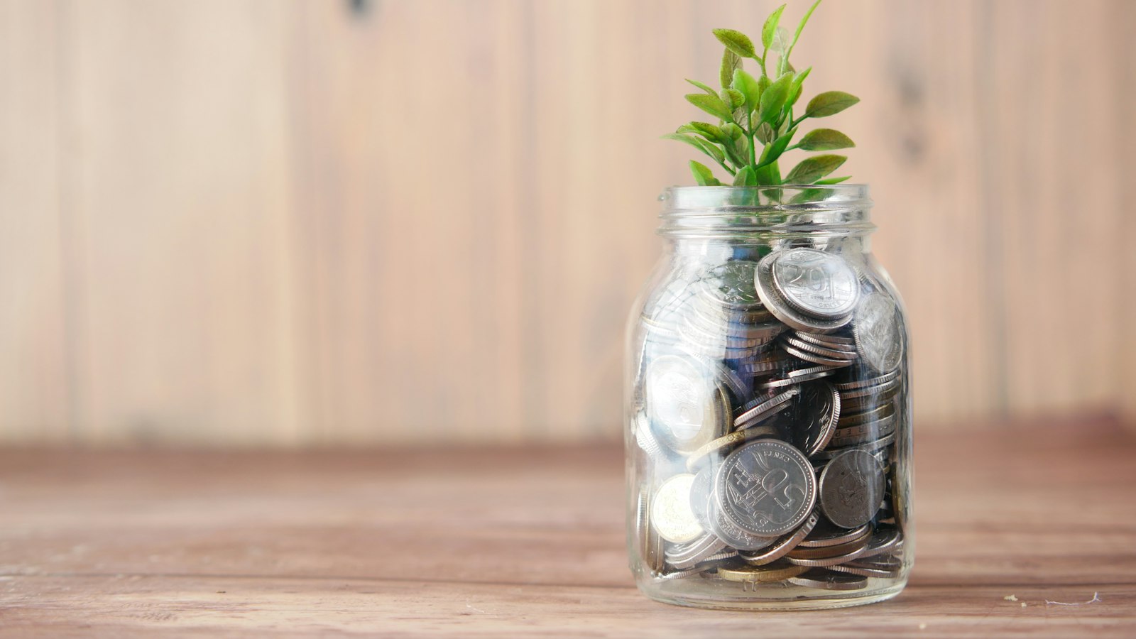 a glass jar filled with coins and a plant