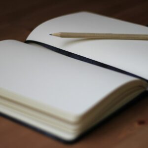 brown pencil on white book page