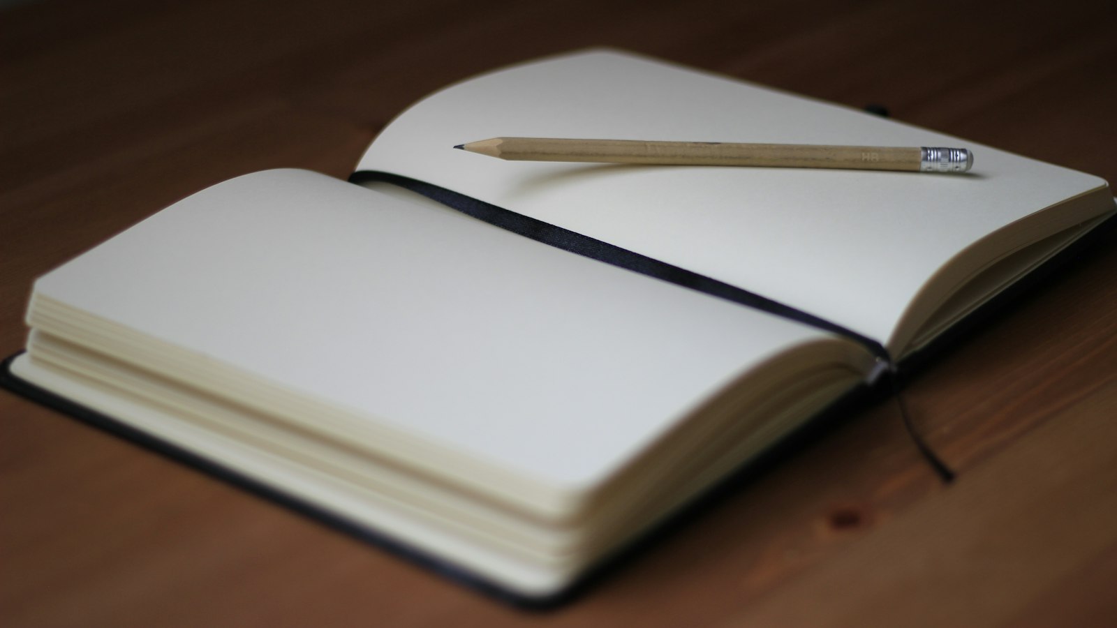 brown pencil on white book page
