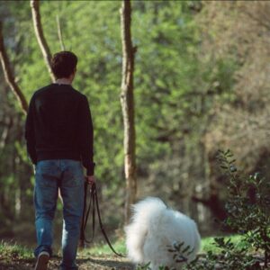 Man walks dog on a forest path
